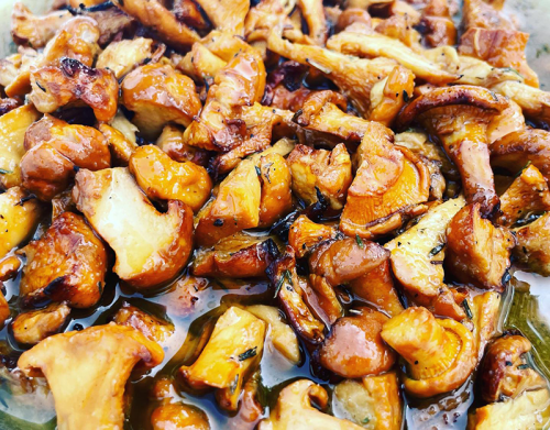 Marinating grilled chanterelles