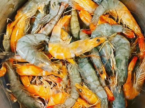 head On Shrimp